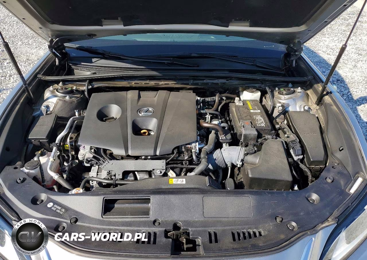 2021 Lexus Es 250 Base VIN:58AD11D10MU001403 - 11