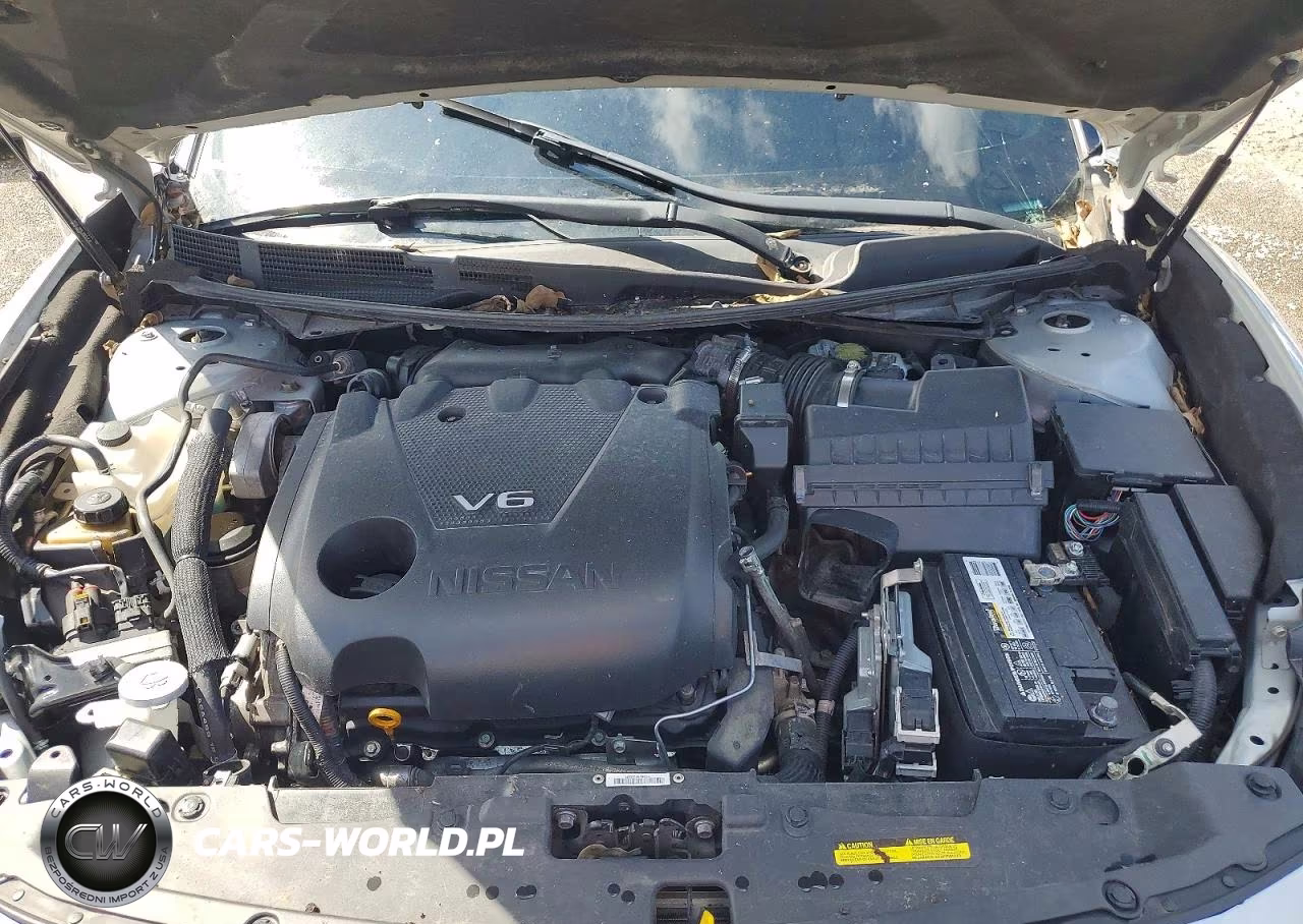 2020 Nissan Maxima Sl VIN:1N4AA6DV8LC372527 - 11
