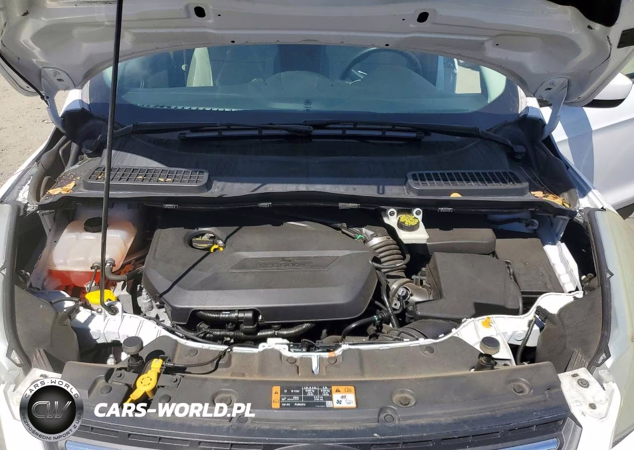 2014 Ford Escape Se VIN:1FMCU0GX9EUE42016 - 12