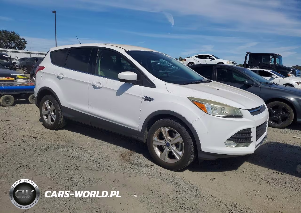 2014 Ford Escape Se VIN:1FMCU0GX9EUE42016 - 4