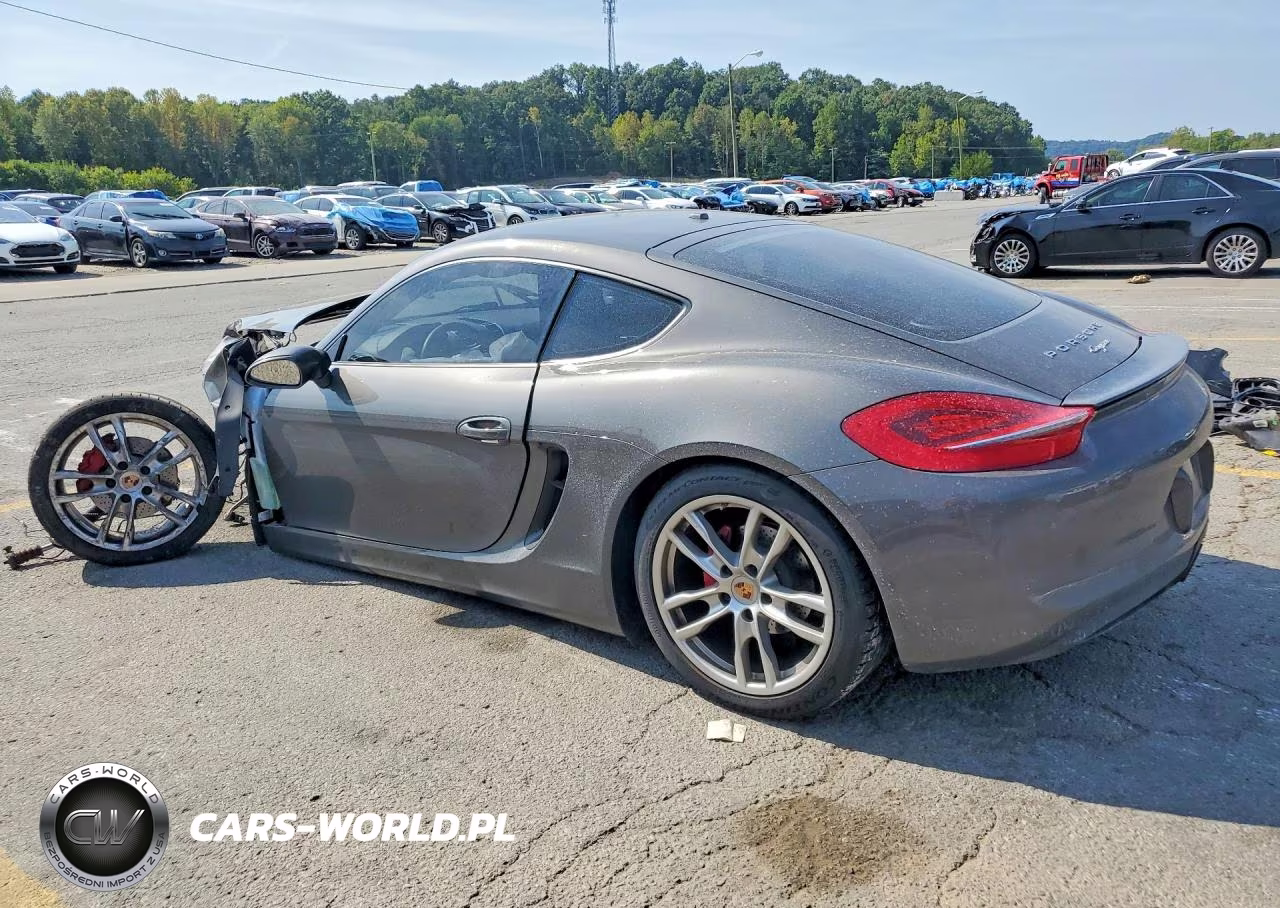 2014 Porsche Cayman VIN:WP0AA2A86EK171526 - 2