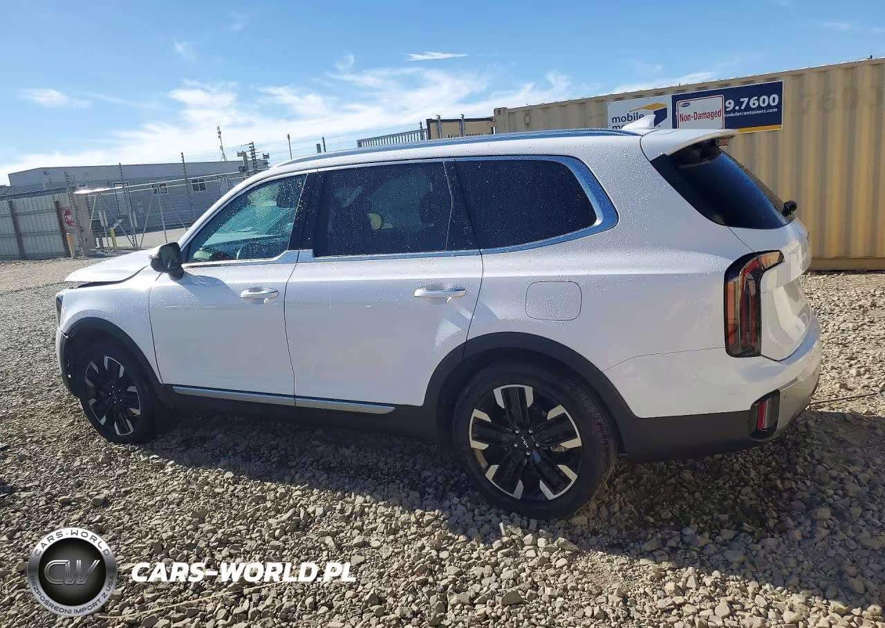 2024 Kia Telluride Sx-Prestige VIN:5XYP5DGC0RG505082 - 2
