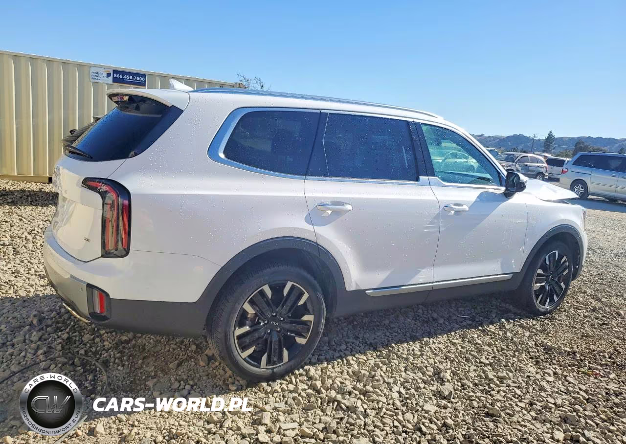 2024 Kia Telluride Sx-Prestige VIN:5XYP5DGC0RG505082 - 3