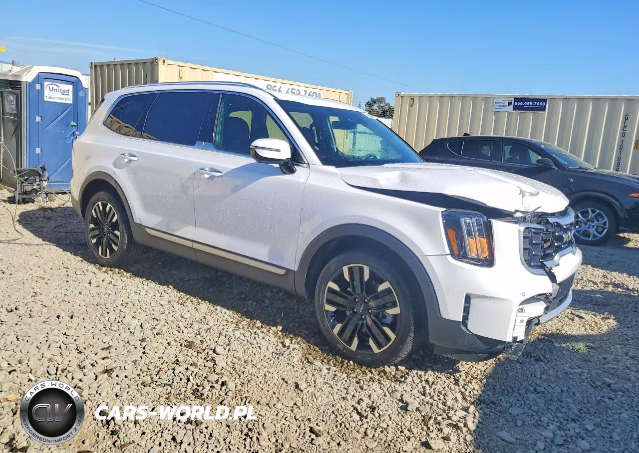 2024 Kia Telluride Sx-Prestige VIN:5XYP5DGC0RG505082 - 4