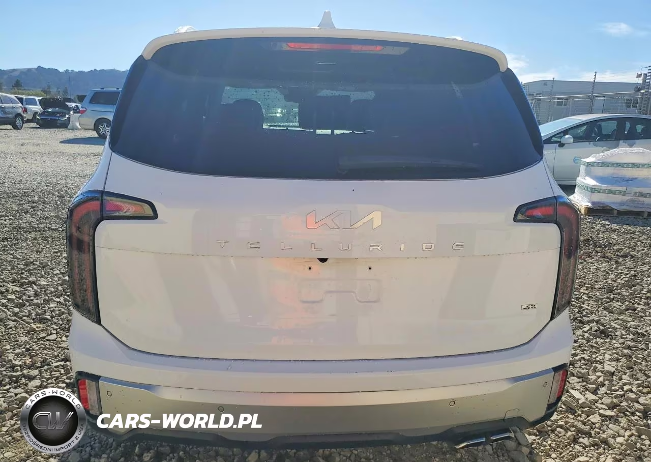2024 Kia Telluride Sx-Prestige VIN:5XYP5DGC0RG505082 - 6