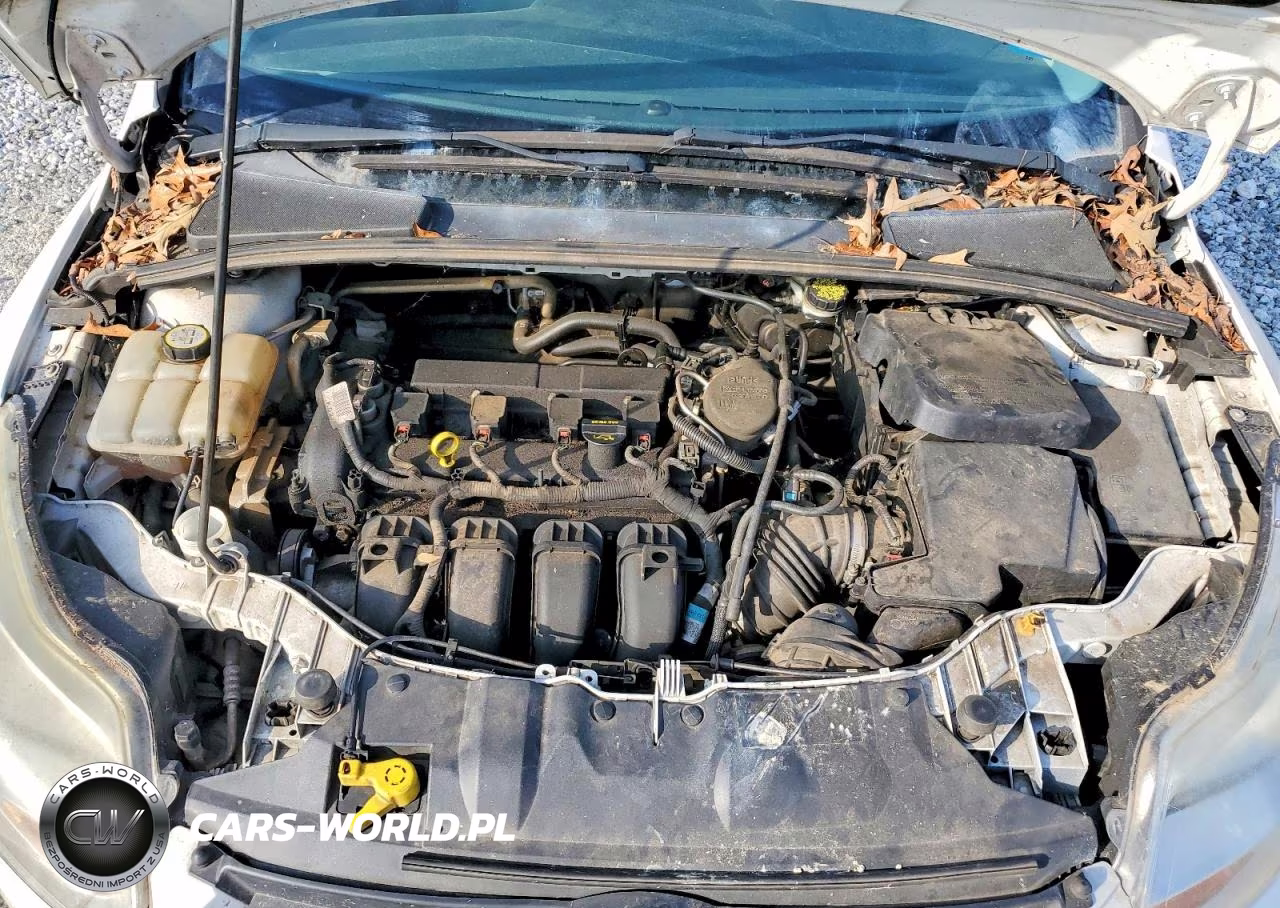 2013 Ford Focus Se VIN:1FADP3K24DL216814 - 11