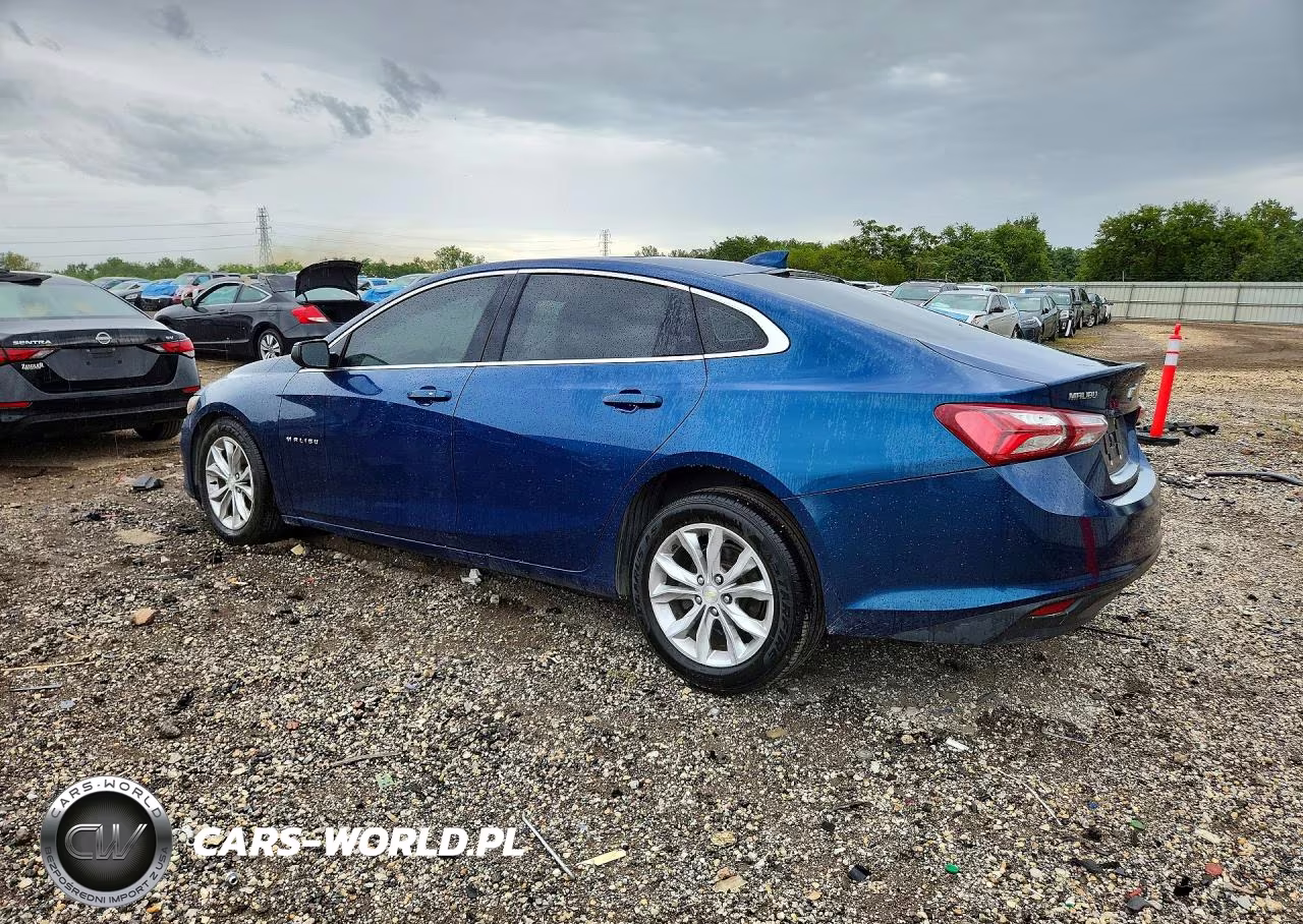 2019 Chevrolet Malibu Lt VIN:1G1ZD5ST5KF109790 - 2