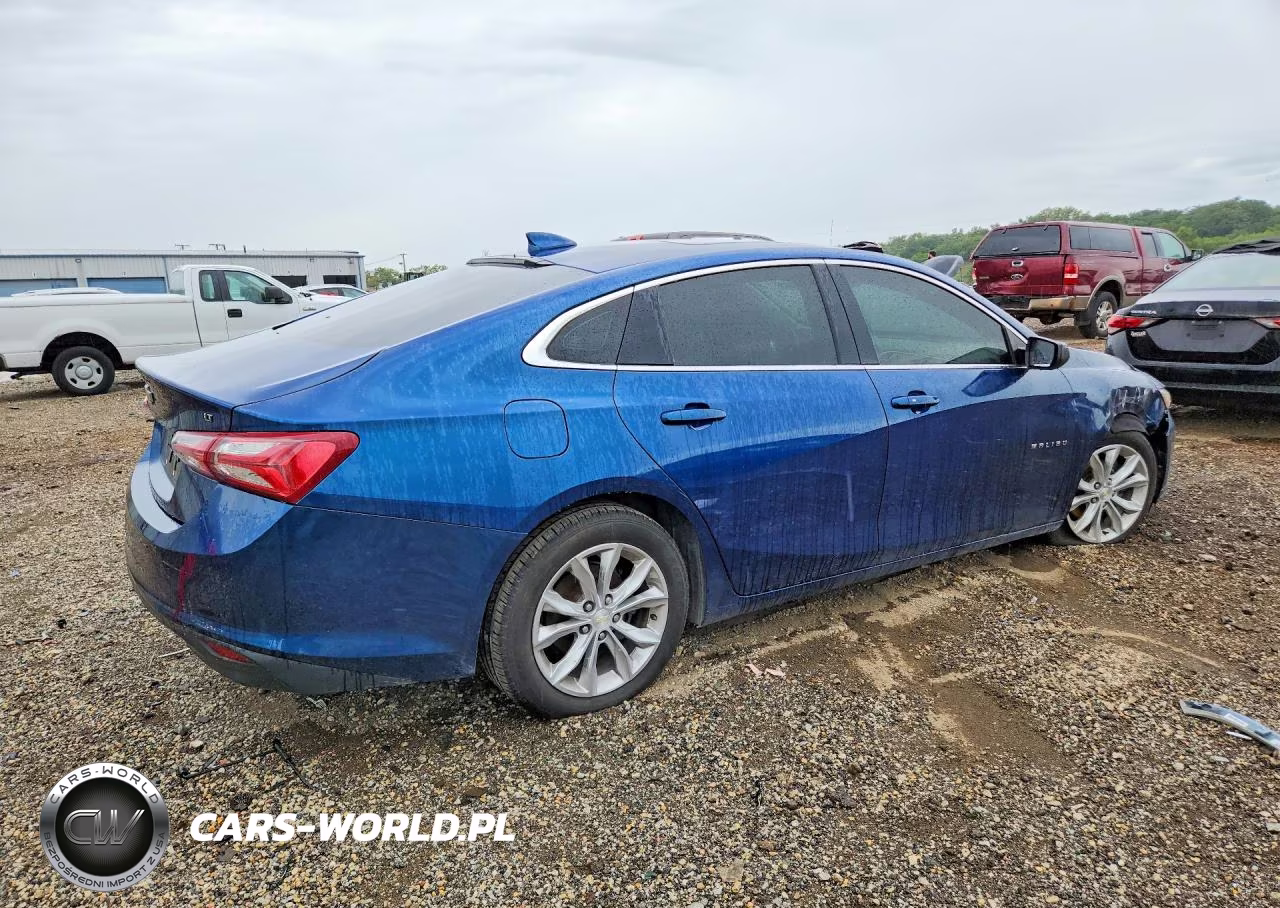 2019 Chevrolet Malibu Lt VIN:1G1ZD5ST5KF109790 - 3
