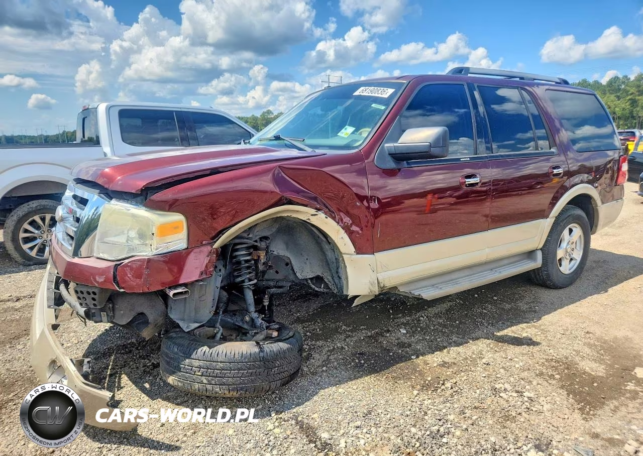 2009 Ford Expedition Eddie Bauer VIN:1FMFU17589EB20520 - 1