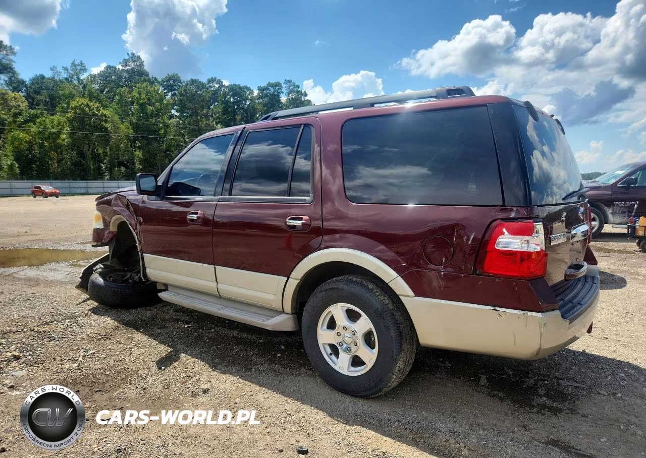 2009 Ford Expedition Eddie Bauer VIN:1FMFU17589EB20520 - 2