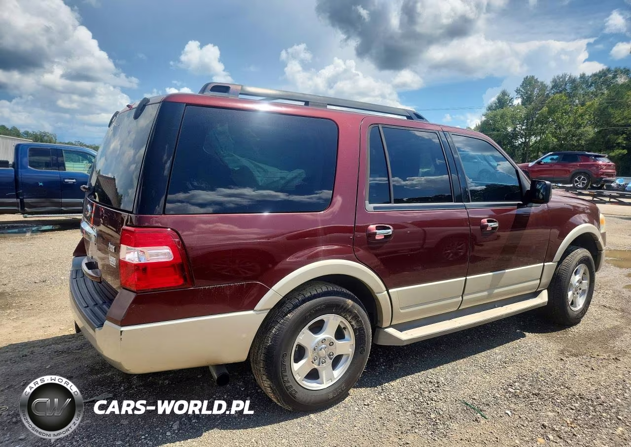 2009 Ford Expedition Eddie Bauer VIN:1FMFU17589EB20520 - 3