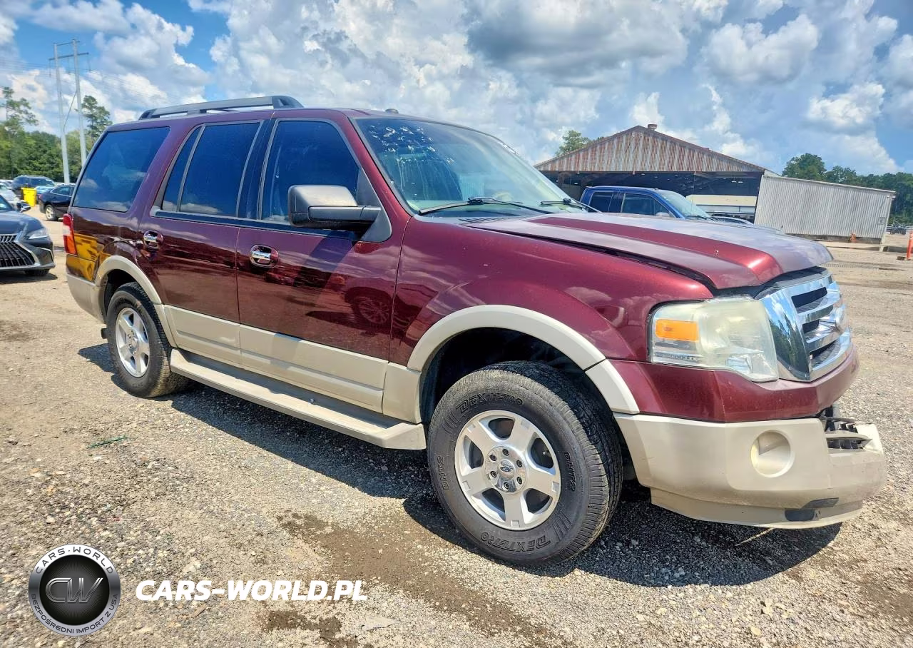 2009 Ford Expedition Eddie Bauer VIN:1FMFU17589EB20520 - 4