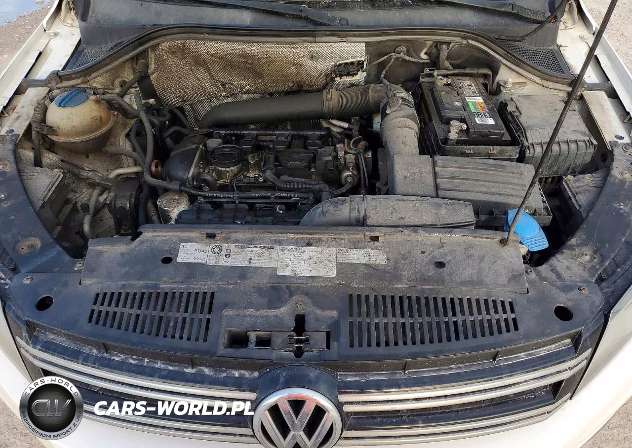 2013 Volkswagen Tiguan S VIN:WVGAV7AX2DW528888 - 12
