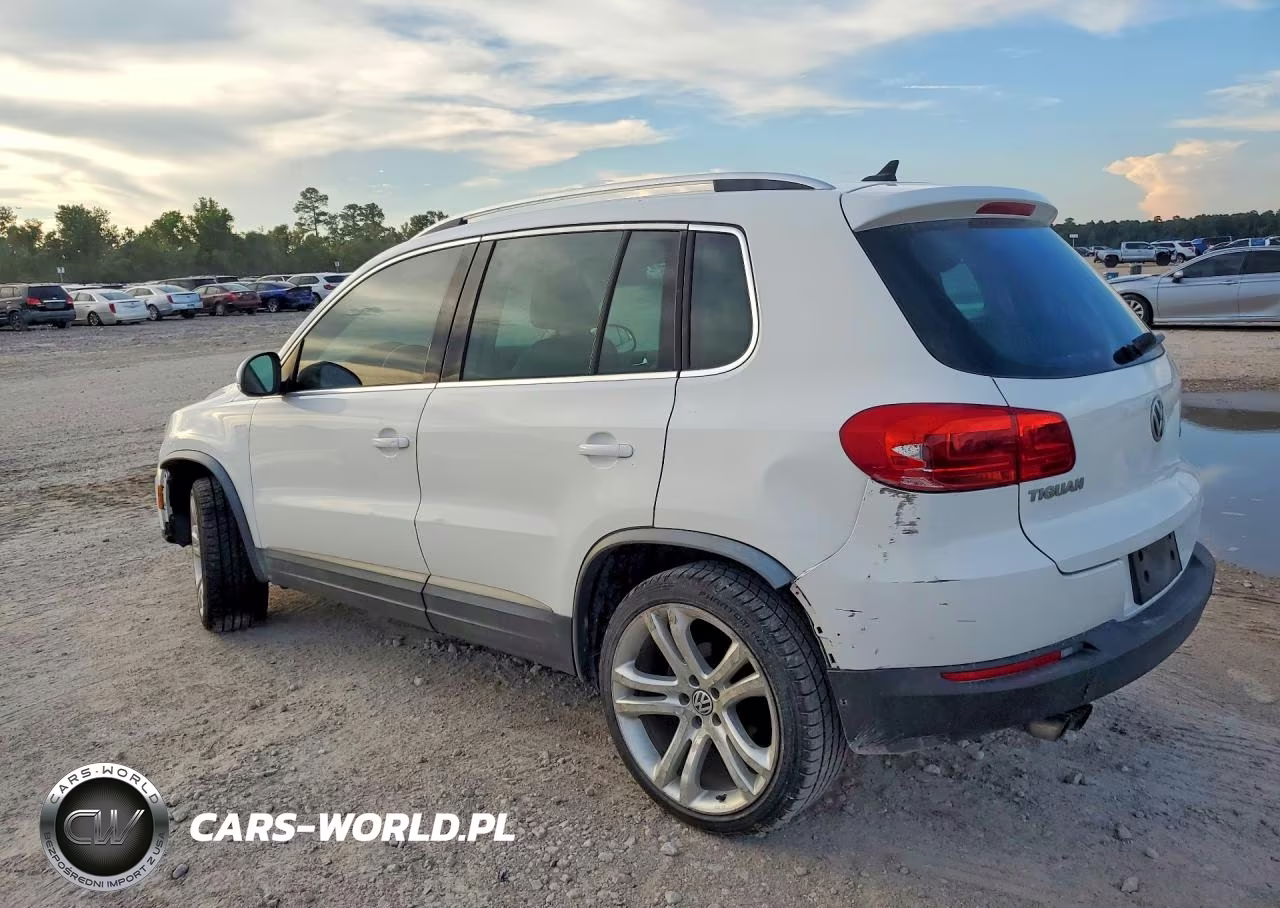 2013 Volkswagen Tiguan S VIN:WVGAV7AX2DW528888 - 2