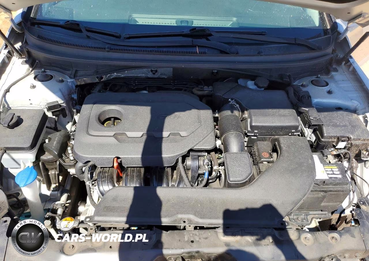2017 Hyundai Sonata Se VIN:5NPE24AF3HH591806 - 11