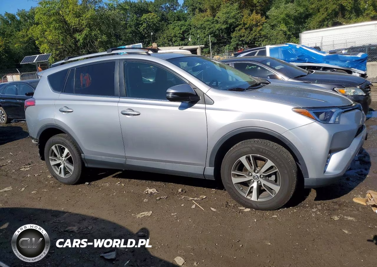 2016 Toyota Rav4 Xle VIN:2T3RFREV9GW522565 - 4