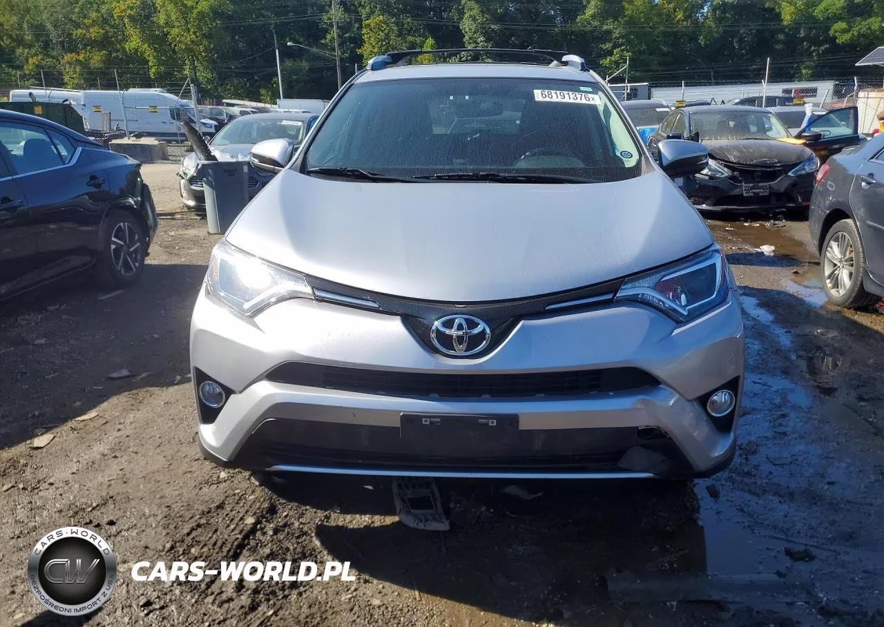 2016 Toyota Rav4 Xle VIN:2T3RFREV9GW522565 - 5