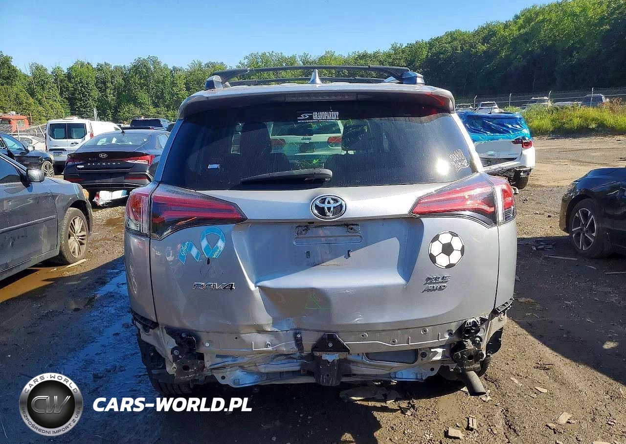 2016 Toyota Rav4 Xle VIN:2T3RFREV9GW522565 - 6