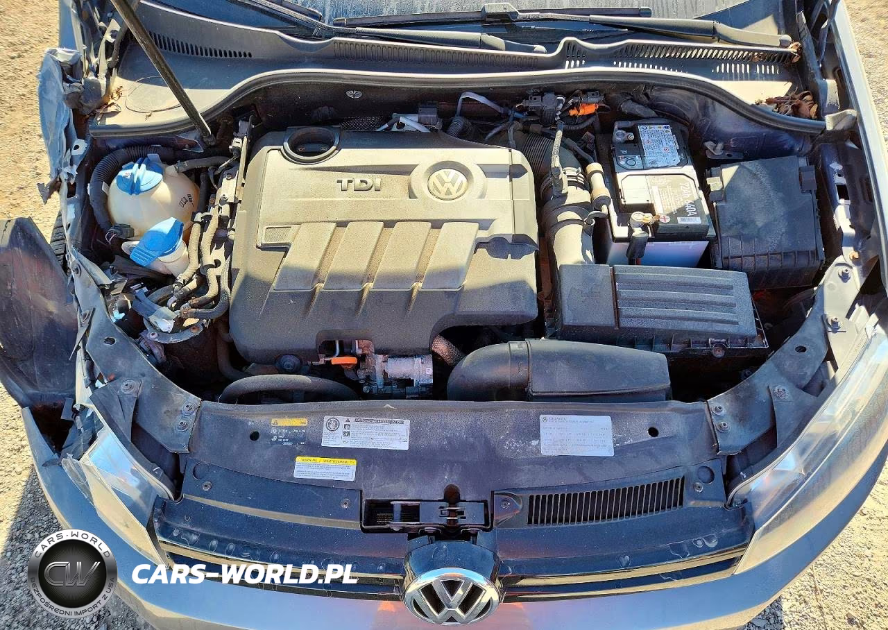 2013 Volkswagen Golf VIN:WVWDM7AJ0DW131101 - 11