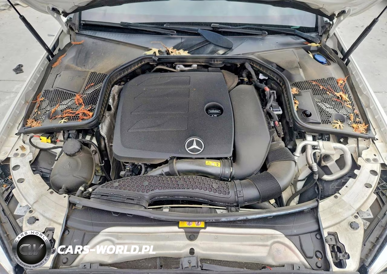 2019 Mercedes-Benz C 300 VIN:55SWF8DB9KU310878 - 11