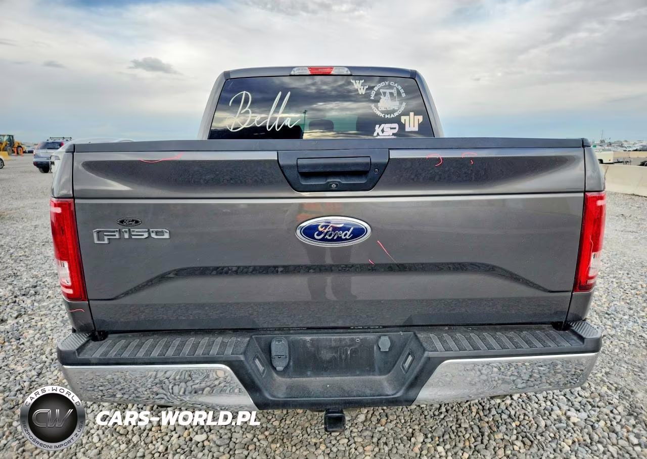 2016 Ford F150 Supercrew VIN:1FTEW1EG5GKD89345 - 6