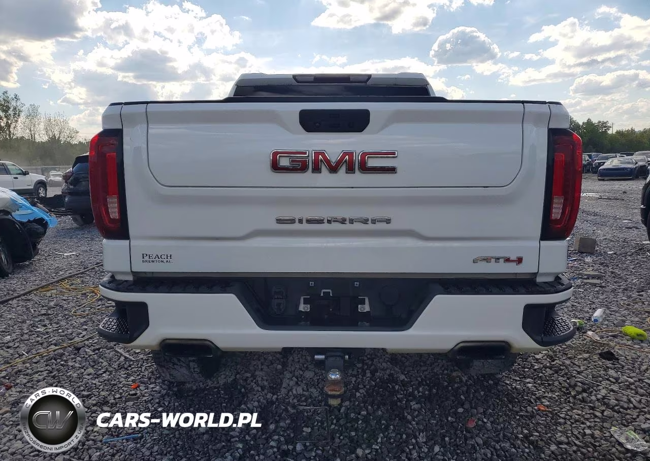 2021 GMC Sierra K1500 At4 VIN:3GTP9EEL4MG281841 - 6