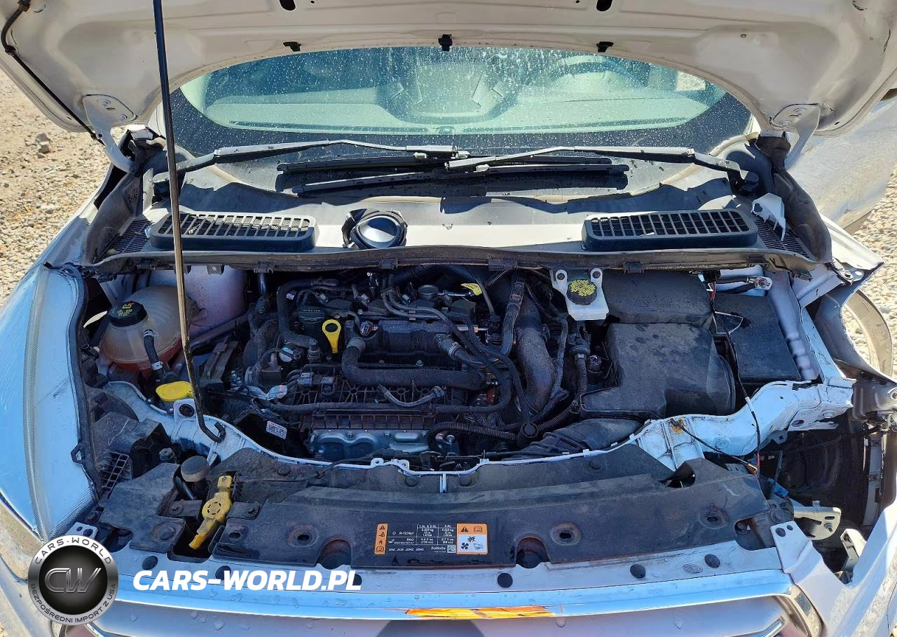 2019 Ford Escape Se VIN:1FMCU0GD4KUB32891 - 11