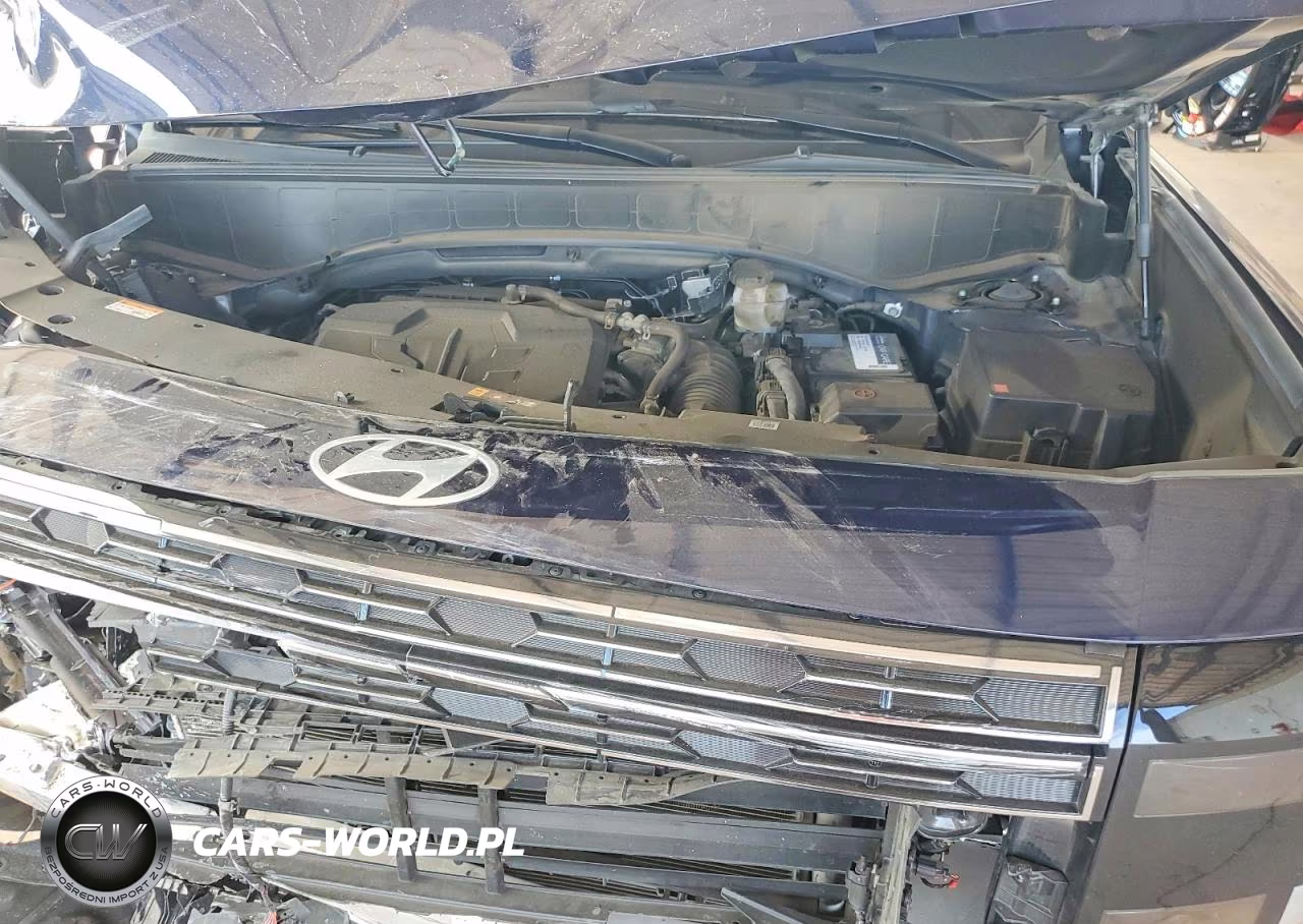 2026 Hyundai Palisade Calligraphy VIN:KM8RMES25TU037190 - 12
