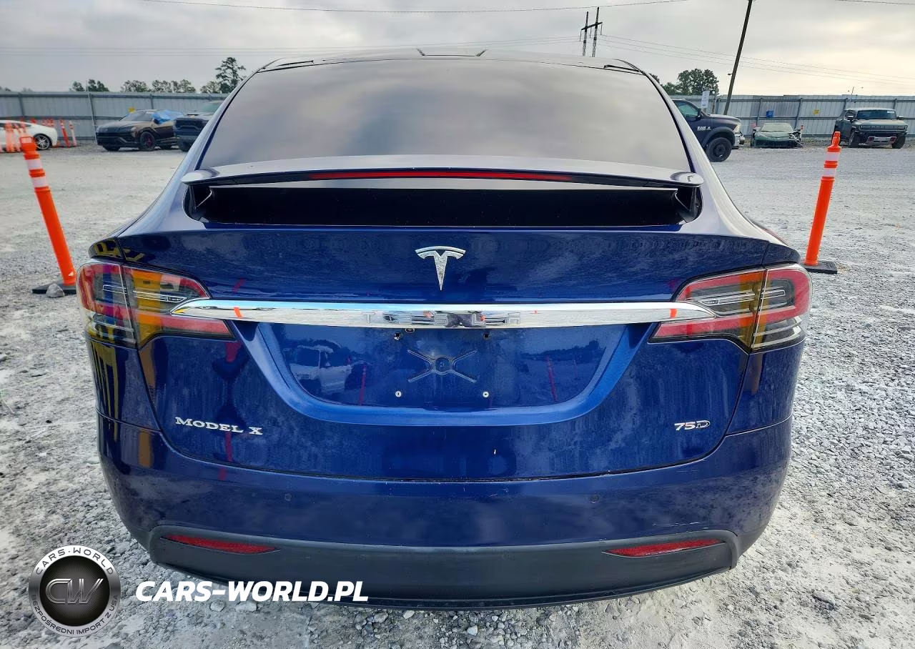 2016 Tesla Model X VIN:5YJXCAE29GF015968 - 6