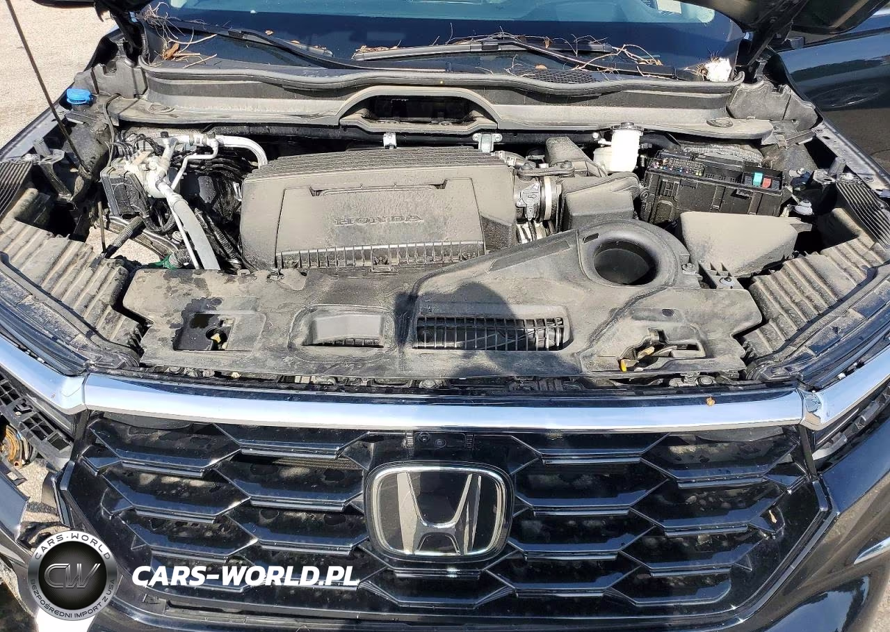 2025 Honda Pilot Elite VIN:5FNYG1H87SB091898 - 12