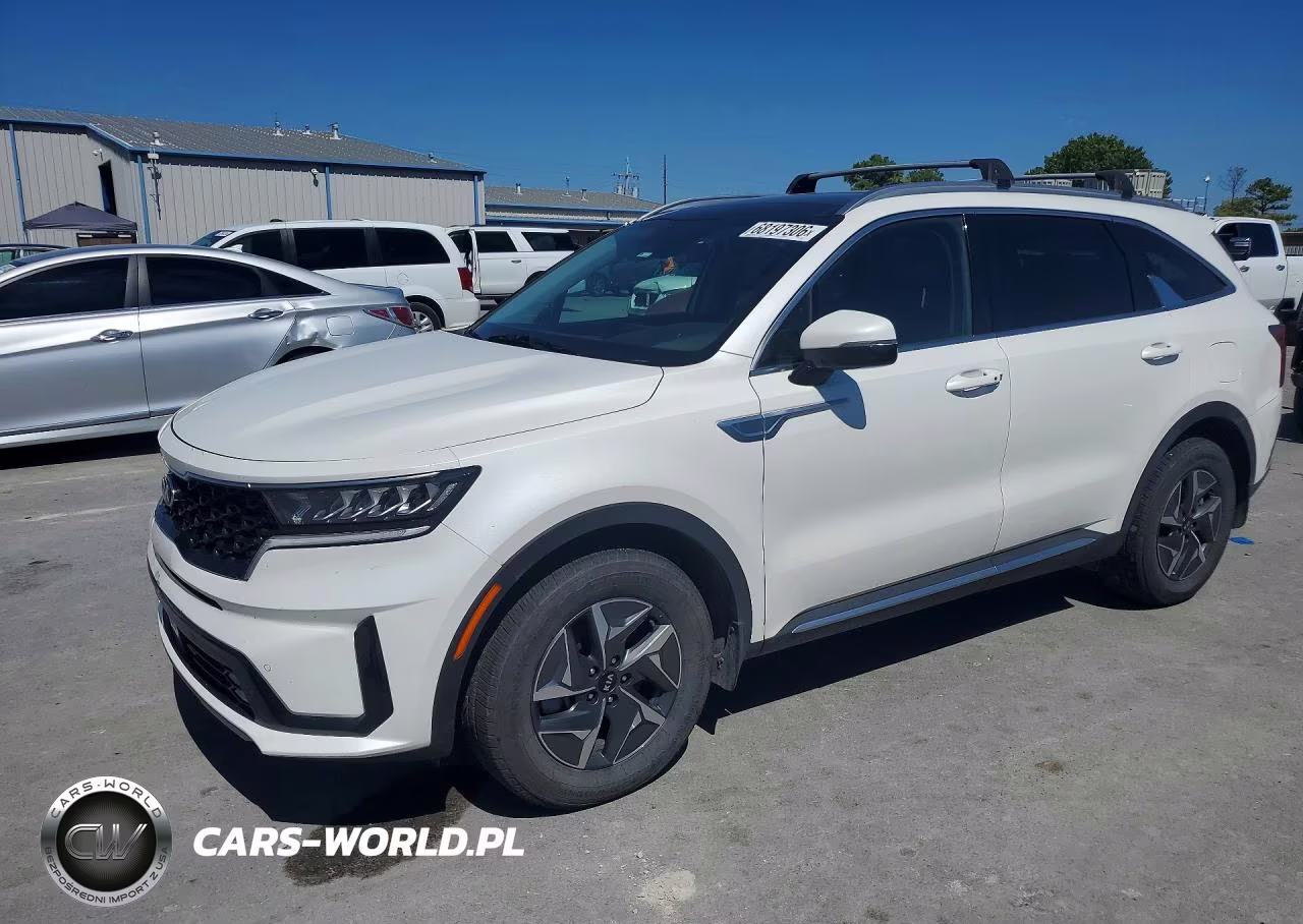 2021 Kia Sorento Ex VIN:KNDRH4LG8M5045616 - 1