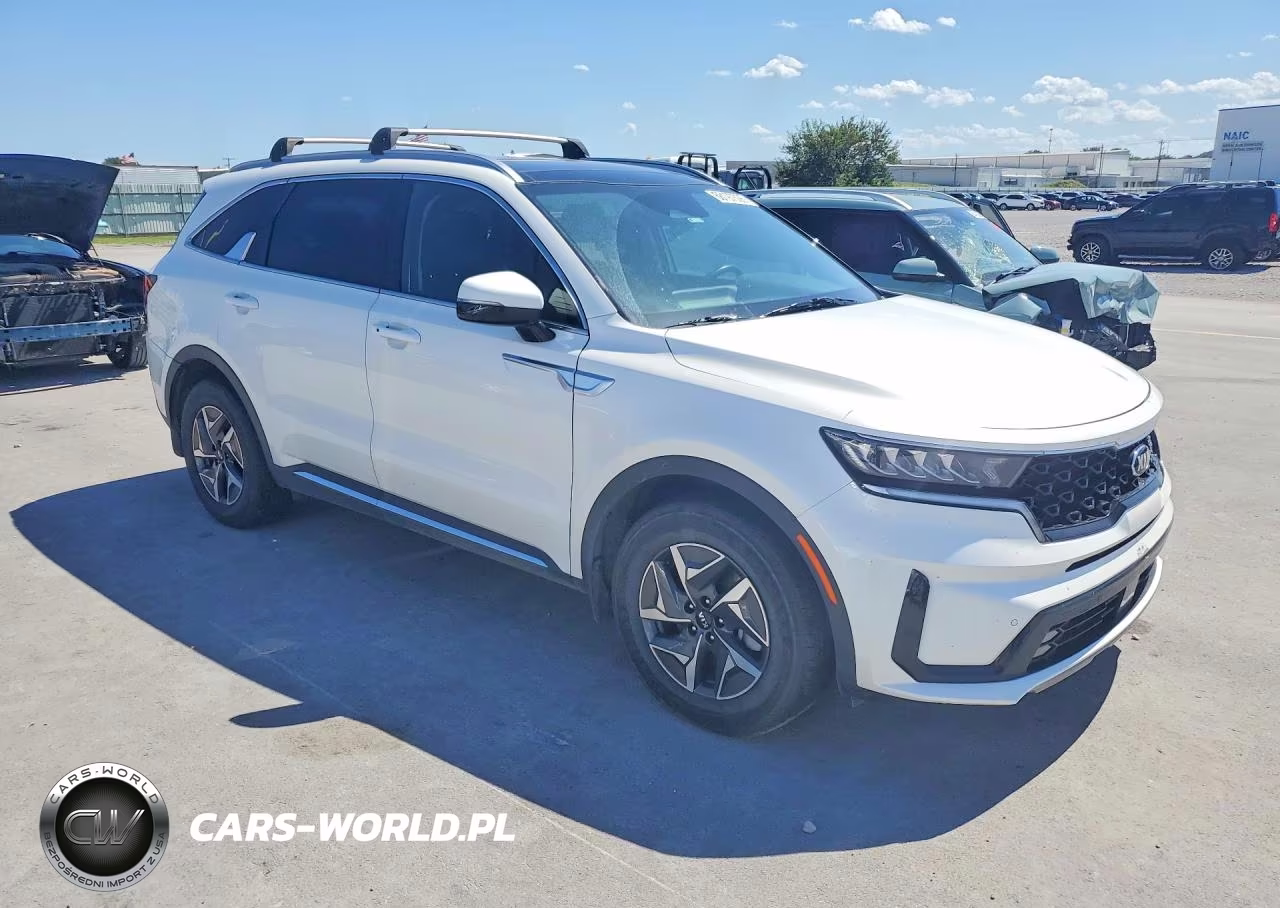 2021 Kia Sorento Ex VIN:KNDRH4LG8M5045616 - 4