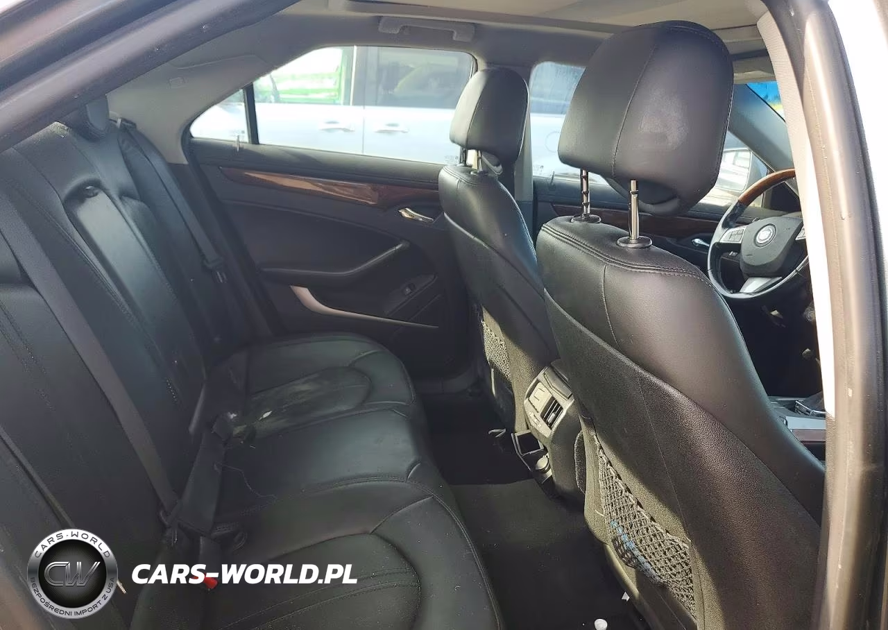 2010 Cadillac Cts Luxury Collection VIN:1G6DG5EG6A0130031 - 10