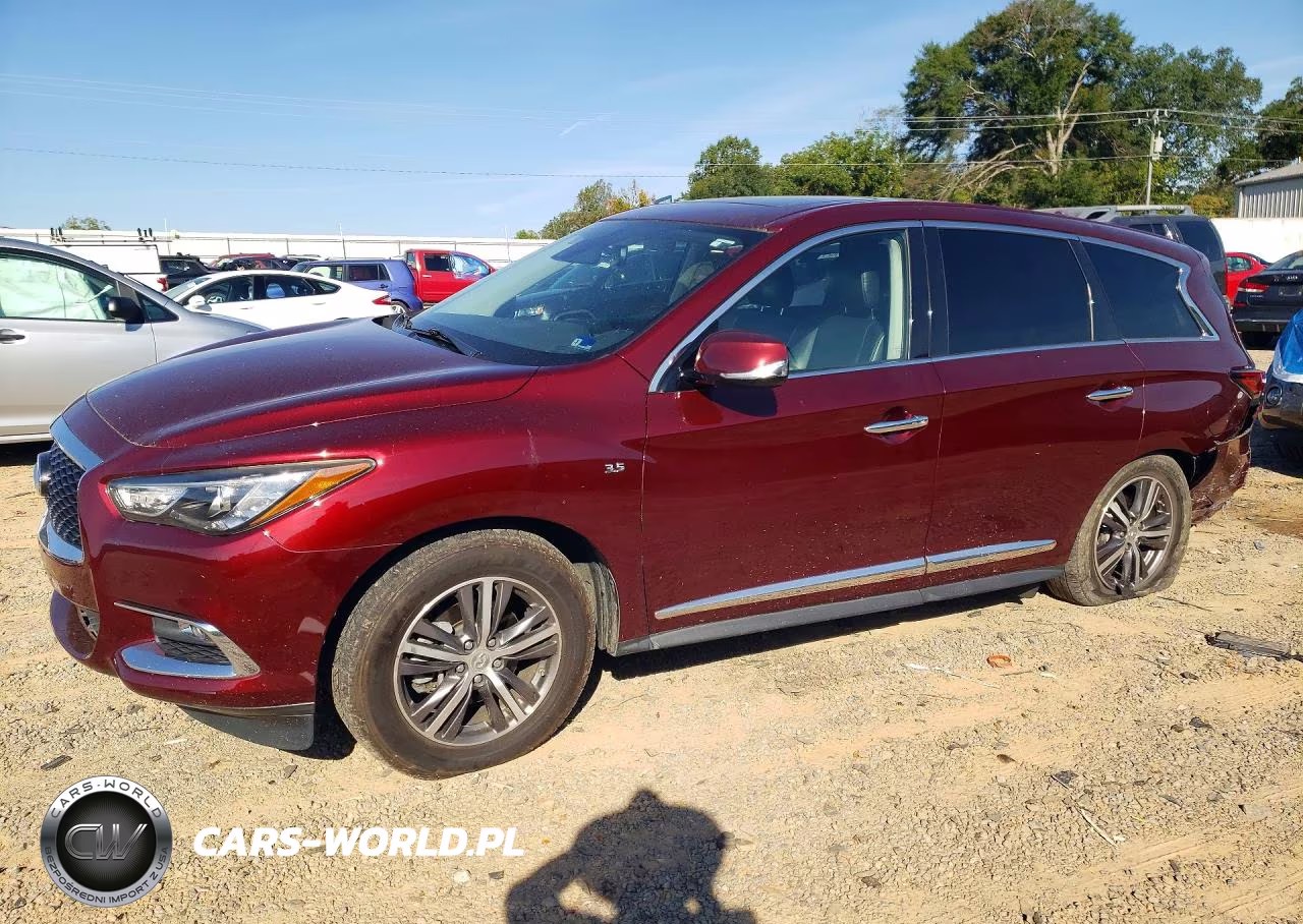 2019 Infiniti Qx60 Pure VIN:5N1DL0MM9KC516117 - 1