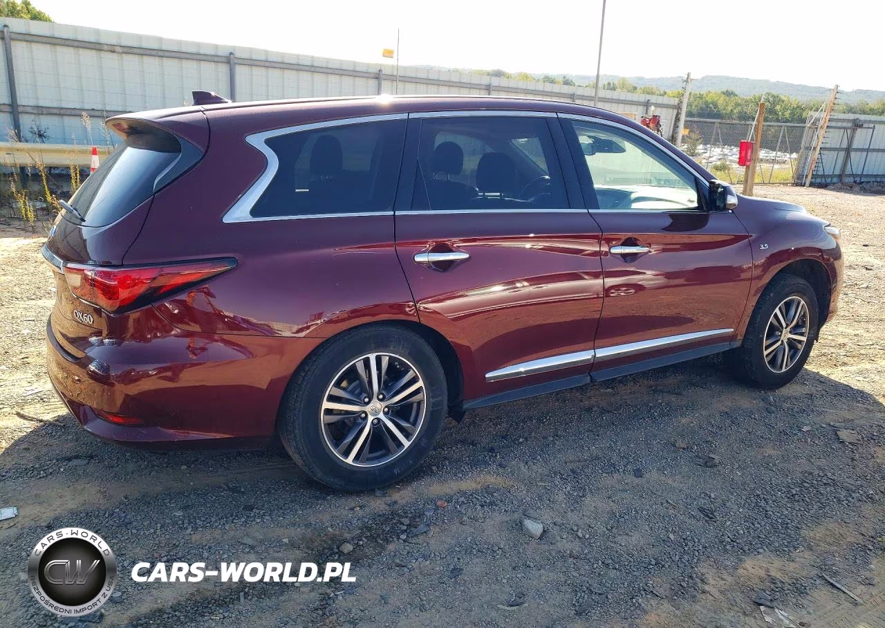 2019 Infiniti Qx60 Pure VIN:5N1DL0MM9KC516117 - 3