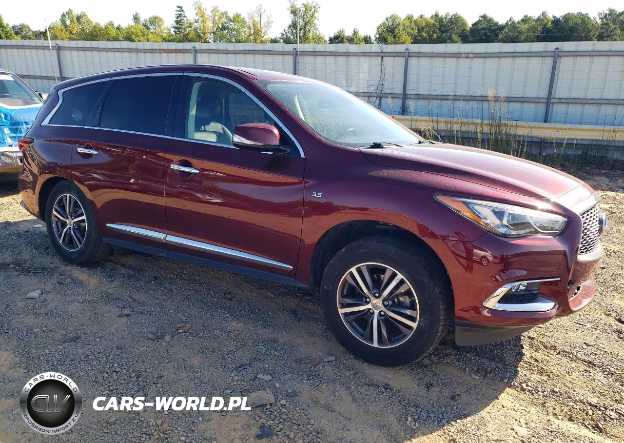 2019 Infiniti Qx60 Pure VIN:5N1DL0MM9KC516117 - 4