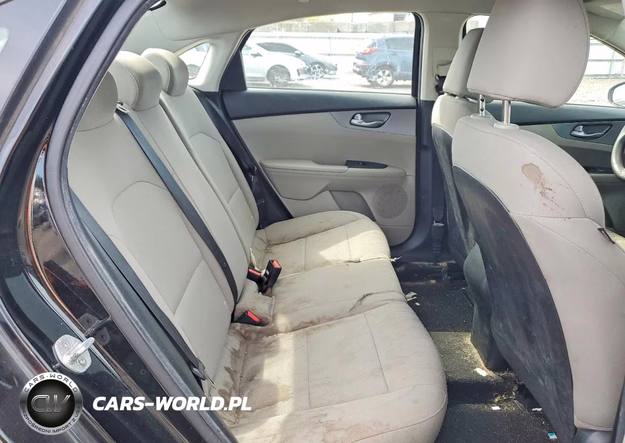 2019 Kia Forte Lxs VIN:3KPF24AD4KE060127 - 10