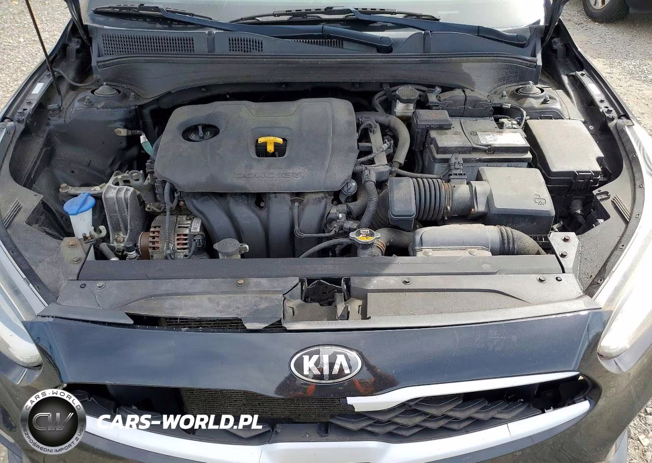 2019 Kia Forte Lxs VIN:3KPF24AD4KE060127 - 11
