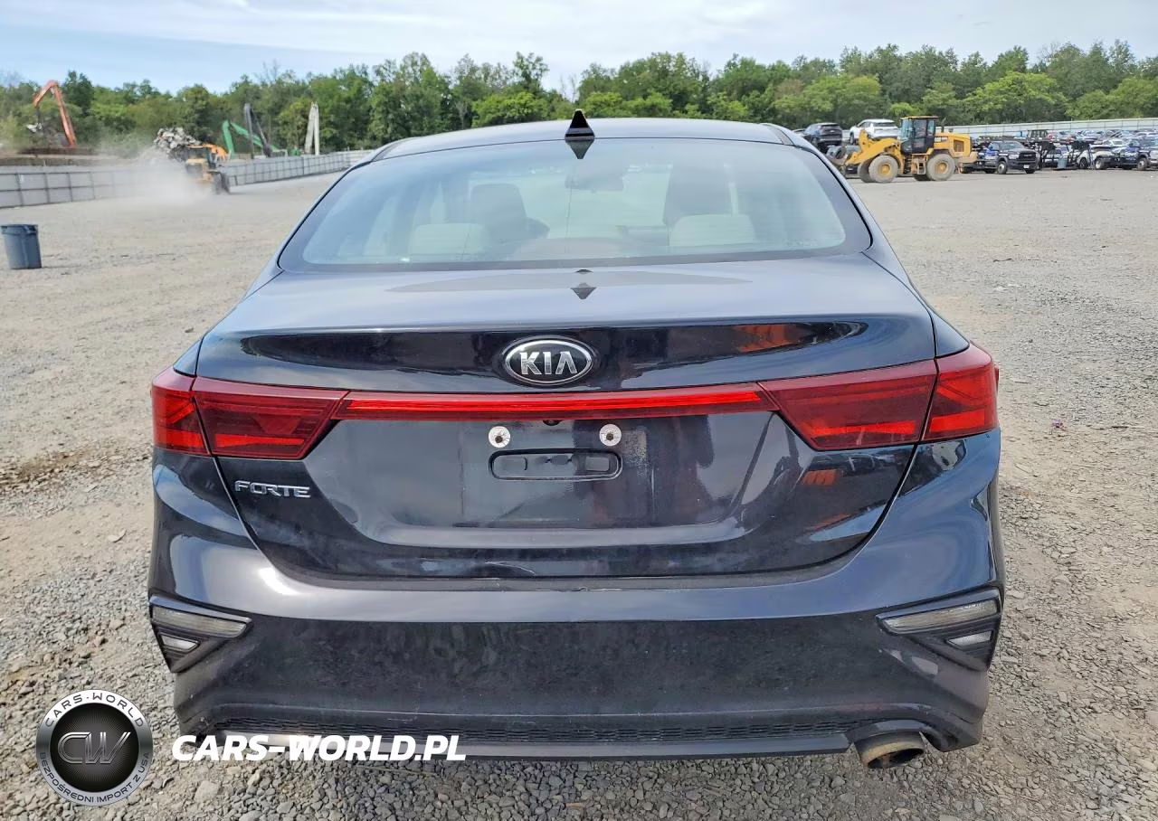 2019 Kia Forte Lxs VIN:3KPF24AD4KE060127 - 6