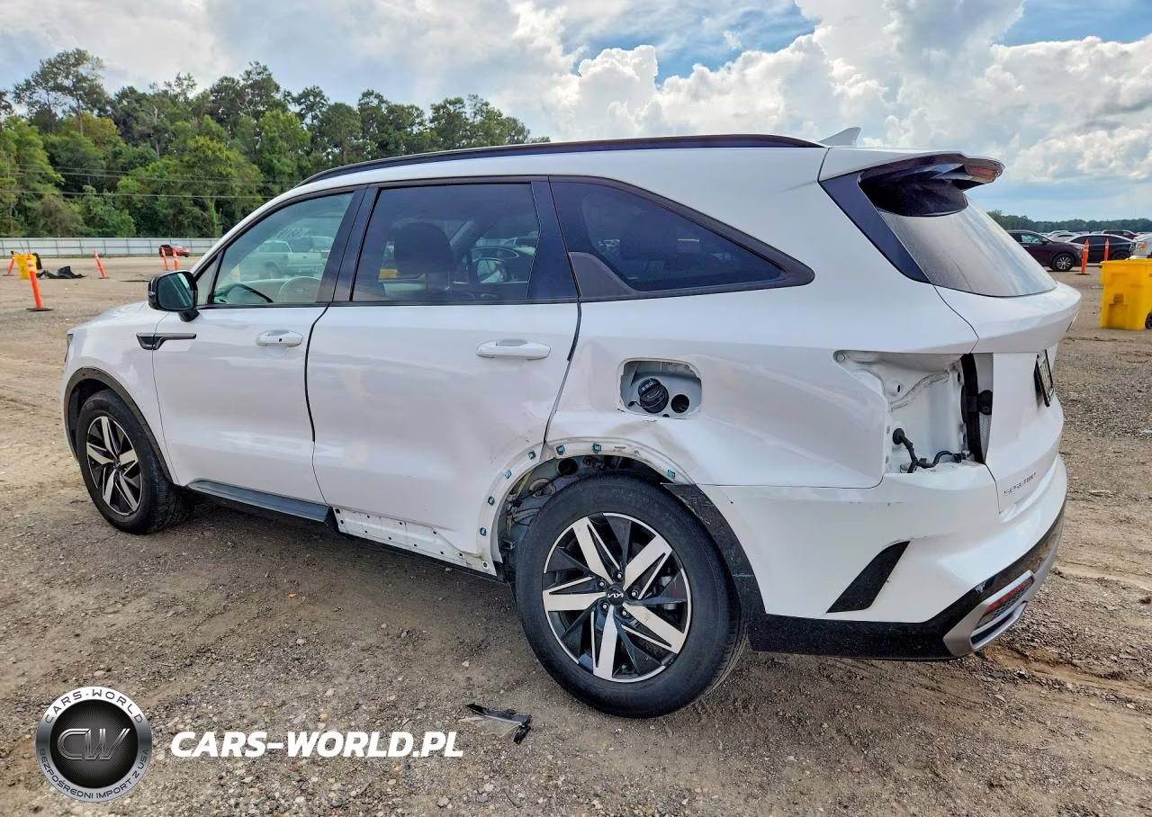 2023 Kia Sorento S VIN:5XYRL4LC0PG174604 - 2