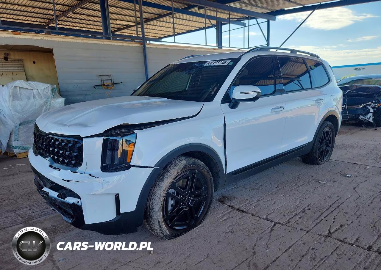 2025 Kia Telluride Ex X-Line VIN:5XYP3DGC9SG592346 - 1