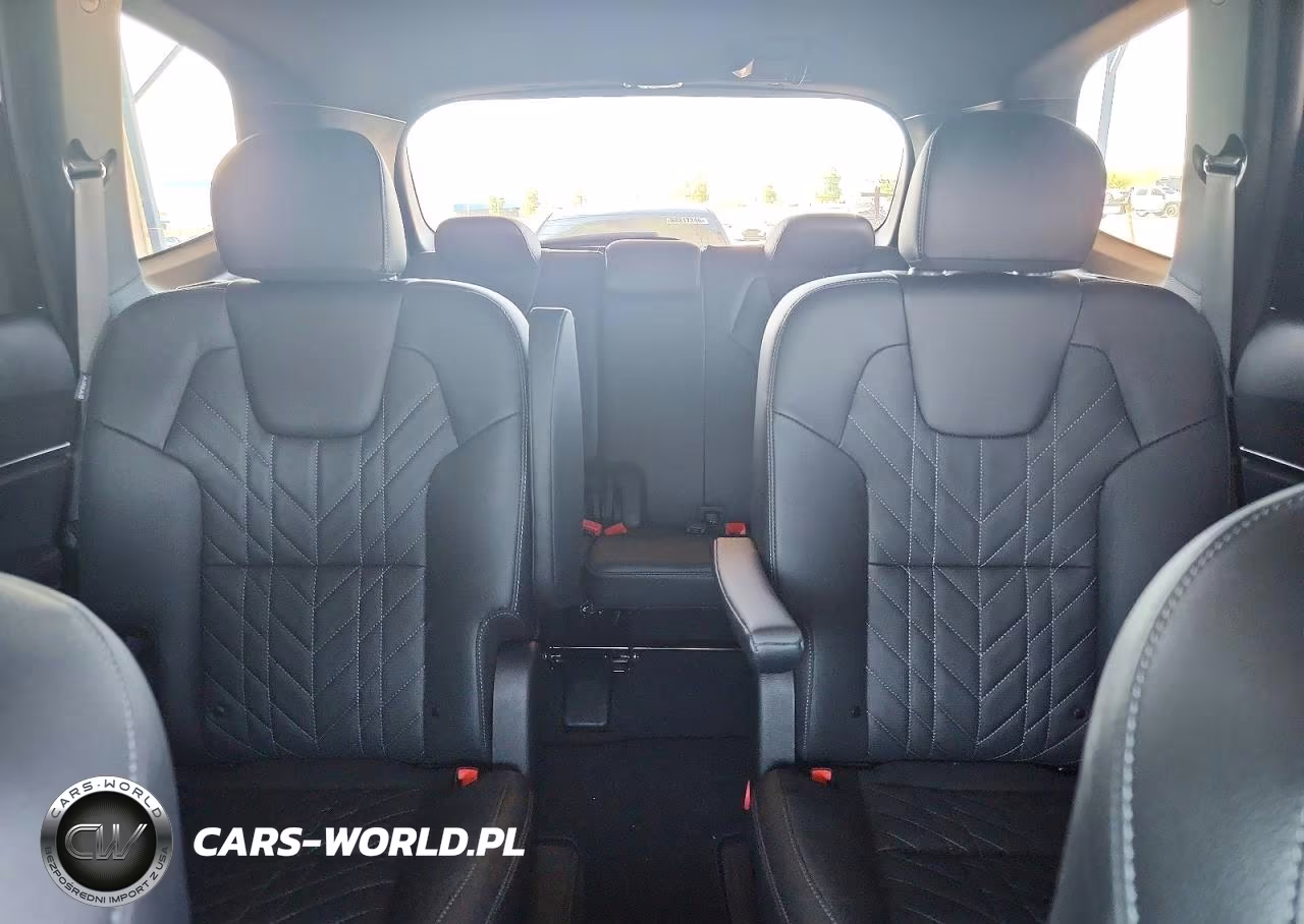 2025 Kia Telluride Ex X-Line VIN:5XYP3DGC9SG592346 - 10