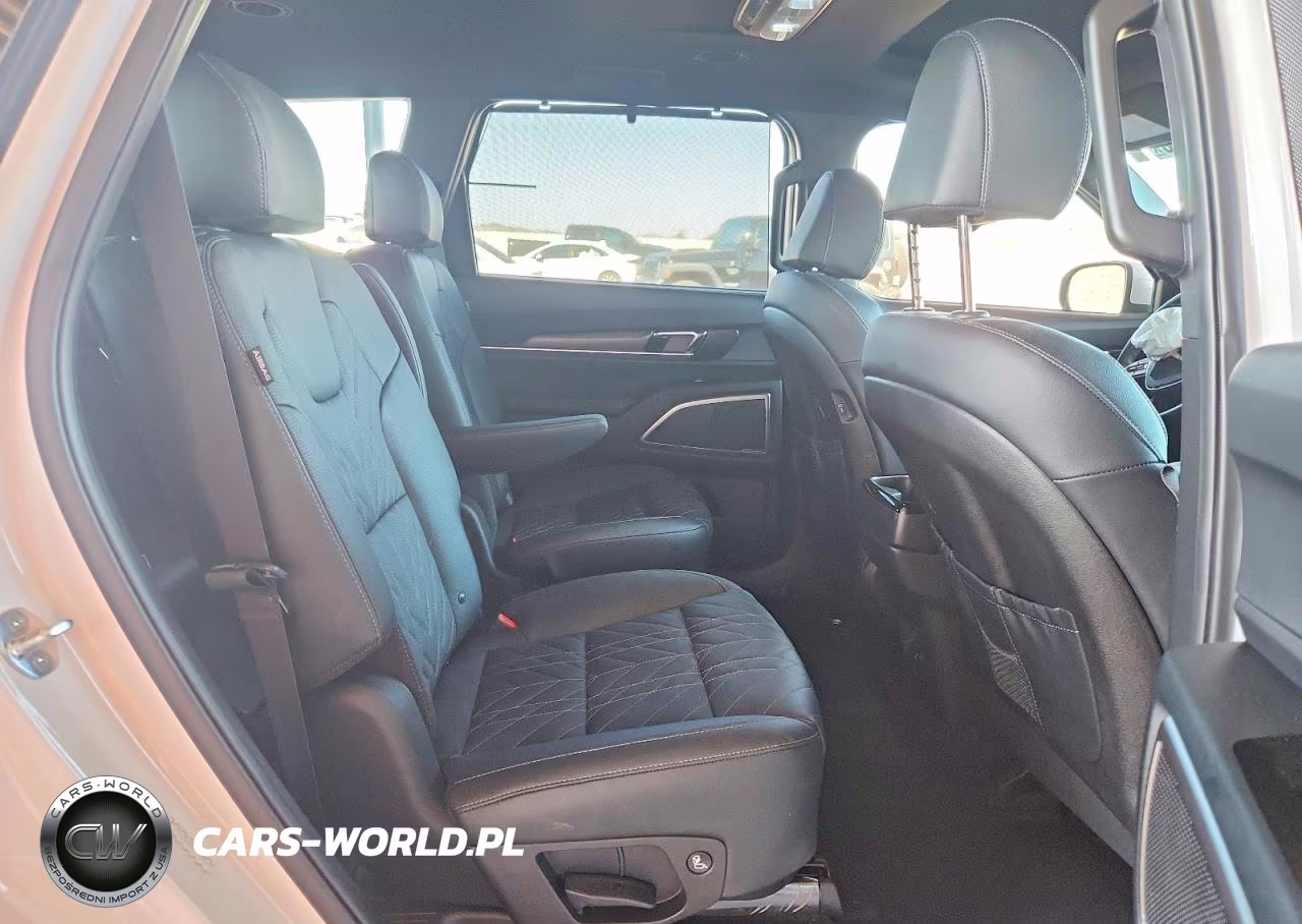 2025 Kia Telluride Ex X-Line VIN:5XYP3DGC9SG592346 - 11