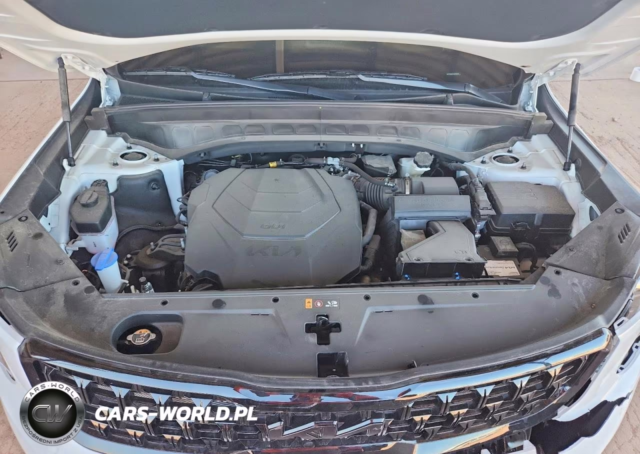 2025 Kia Telluride Ex X-Line VIN:5XYP3DGC9SG592346 - 12
