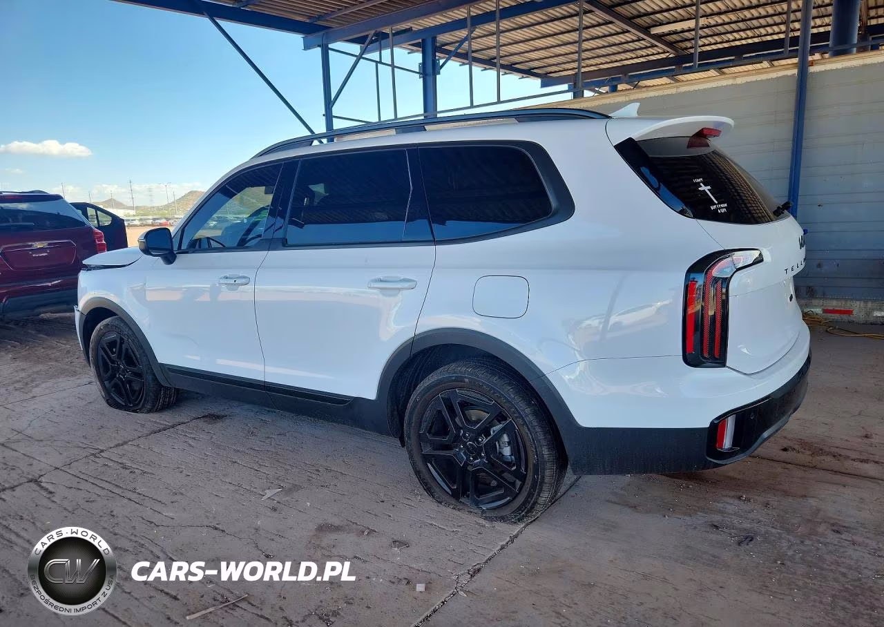 2025 Kia Telluride Ex X-Line VIN:5XYP3DGC9SG592346 - 2