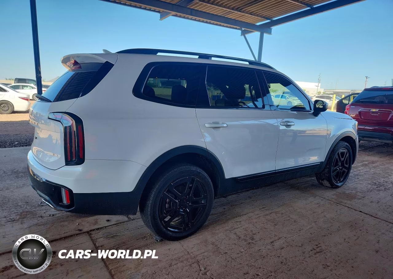 2025 Kia Telluride Ex X-Line VIN:5XYP3DGC9SG592346 - 3