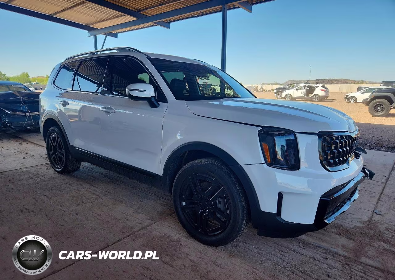 2025 Kia Telluride Ex X-Line VIN:5XYP3DGC9SG592346 - 4