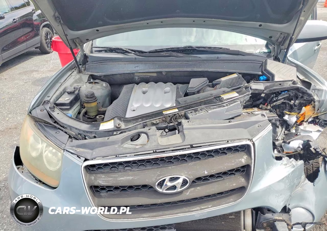 2007 Hyundai Santa Fe Gls VIN:5NMSG73D57H006432 - 12