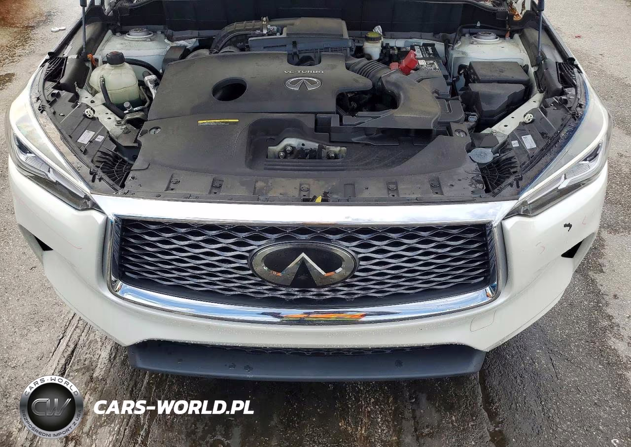 2020 Infiniti Qx50 Luxe VIN:3PCAJ5M19LF113534 - 12