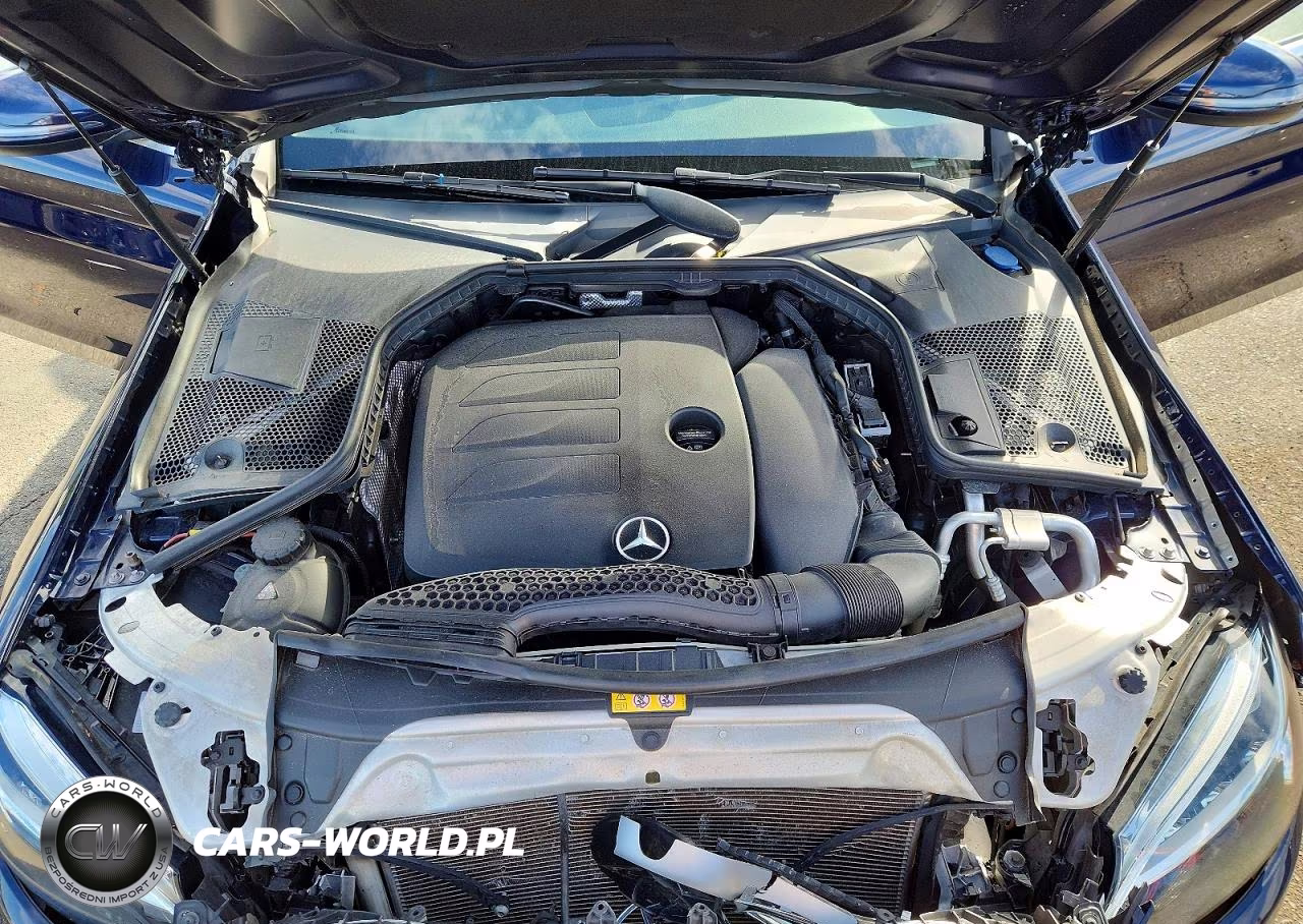 2020 Mercedes-Benz C 300 4Matic VIN:WDDWF8EBXLR526532 - 11